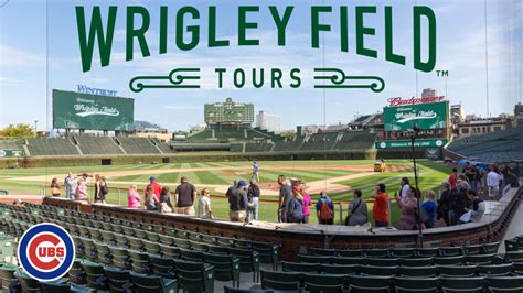 wrigley field tour schedule